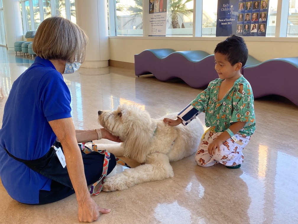 Canine Therapy Program | Rady Children's Hospital