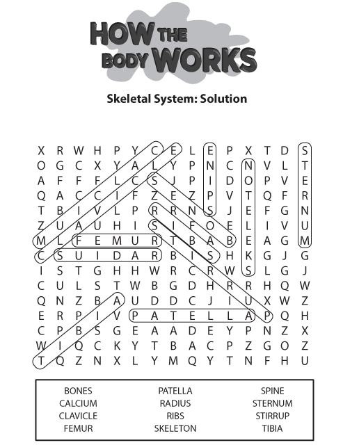 Wf Solution Bones